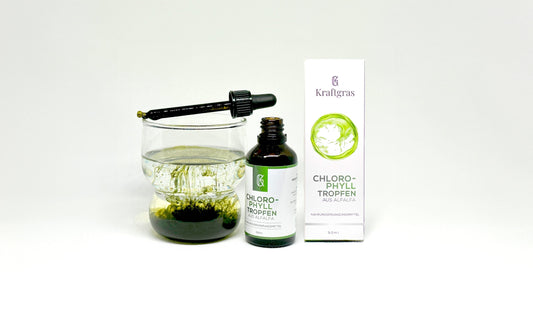 Kraftgras Chlorophylltropfen komplett